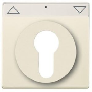 Busch-Jaeger Zentrals.Schl.Sch. savanne/elfenbeinweiss 1755SL/PZ-82-101 – Bild 1