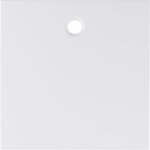 Berker Zentralstück polarweiß für Zugsch./-taster 11461909 – Bild 1