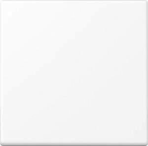 Jung Steuertaste Standard,  Serie A, schneeweiß matt A1700BFWWM – Bild 1