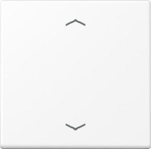 Jung Steuertaste Standard, Symbol Pfeil, Serie A, schneeweiß matt A1700BFPWWM – Bild 1