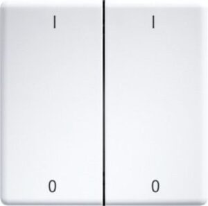 Eltako Doppelwippe lasergraviert für Funk taster 55x55mm rws glänzend mit Gra DW-FT55-WG+IO – Bild 1