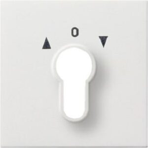 Gira Abdeckung für Schlüsselschalter Flächenschalter reinweiss glänzend 0664112 – Bild 1