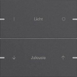 Gira Wippenset 2fach individuell für Tastsensor4 TS4 Anthrazit lackiert 5032928 – Bild 1