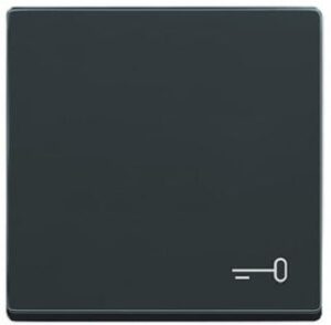 Busch-Jaeger Wippe mit Aufd.Schlüssel. future linear anthrazit 2520TR-81 – Bild 1