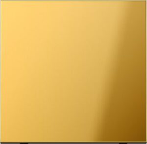 Jung Steuertaste Standard, neutral,  Serie LS, goldfarben GO1700 – Bild 1