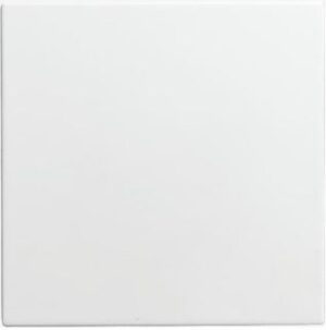 Busch-Jaeger Zentralscheibe Info-Light Blind Busch-balance SI alpinweiss 1576C-914 – Bild 1