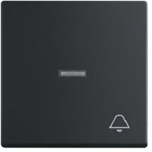 Busch-Jaeger Wippe future linear schwarz-matt mit Symbol 1789KI-885 – Bild 1