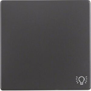 Berker Wippe anthrazit samt mit Aufdruck Licht 16206046 – Bild 1