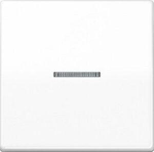 Jung KNX RF Taster 1fach 868 MHz alpinweiß AS10911STRFWW – Bild 1