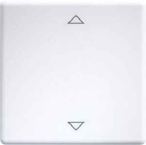 Eltako Wippe lasergraviert für Funktaster 55x55mm rws glänzend mit 2 Pfeilen W-FT55-WG+2P – Bild 1