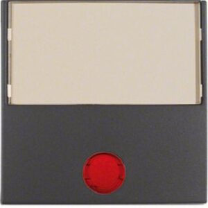 Berker Wippe anthrazit matt mit 5 beilieg.Linsen 16961606 – Bild 1