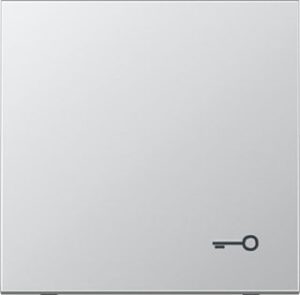 Jung Wippe Symbol Tür Aluminium AL2990T – Bild 1