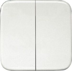 Eltako Doppelwippe weiss/alpinweiss für Funktaster 55x55mm für Reflex/Duro DW-FT55R-@ – Bild 1