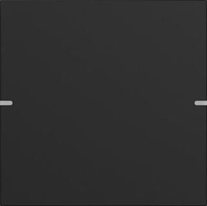 Gira Wippenset 1-fach Tastensor 4 TS4 Schwarz matt lackiert 5021905 – Bild 1