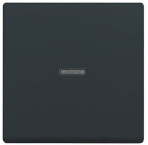 Busch-Jaeger Kontrollwippe transparente Kalotte future linear anthrazit 1789N-81 – Bild 1