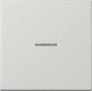 Jung KNX RF Taster 1fach Duroplast hochkratzfest glänzend lichtgrau LS10911STRFLG – Bild 1