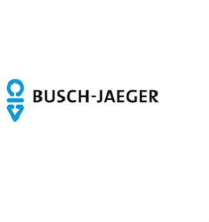 Busch-Jaeger Symbol grün 2525-13 – Bild 1