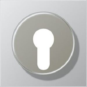 Jung Abdeckung für Schlüsselschalter AL2928 – Bild 1