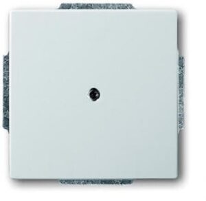 Busch-Jaeger Zentralscheibe Tragring edelstahl 1749-866 – Bild 1