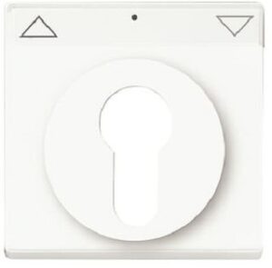 Busch-Jaeger Zentralscheibe weiss für Schlüsselschalter 1755SL/PZ-884-101 – Bild 1