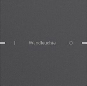 Gira Wippenset 1fach individuell für Tastsensor4 TS4 Anthrazit lackiert 5031928 – Bild 1