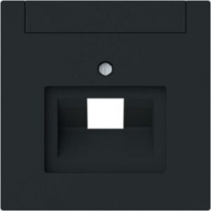 Busch-Jaeger Zentralscheibe 1-fach, UAE mit Beschriftungsfeld 1803-45M – Bild 1