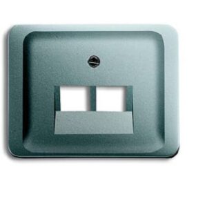 Busch-Jaeger Zentralscheibe UAE 2-fach alpha exclusive 1803-02-266 – Bild 1