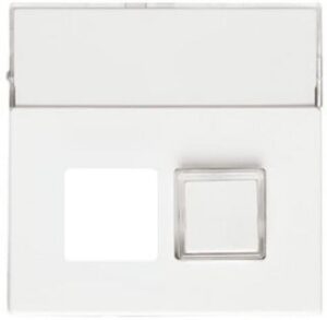 Busch-Jaeger Zentralscheibe 1572CN-84 – Bild 1