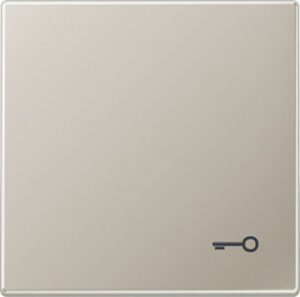 Jung Wippe für  Schalter/Taster LS-Edelstahl Symb.Tür Schriftfeld ES2990T – Bild 1