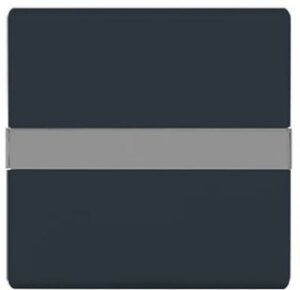 Busch-Jaeger Wippe mit BeschriftungsfeId IP44 Allwetter anthrazit 2106N-35 – Bild 1