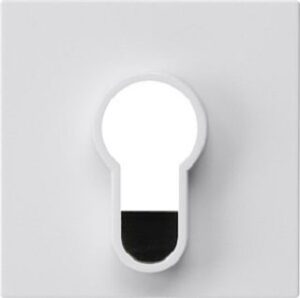 Gira Abdeckung-Schlüsselschalter/-taster  ohne Aufdruck System 55 Reinweiß 866403 – Bild 1