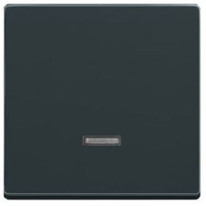 Busch-Jaeger Bedienelement Memoryd. solo anthrazit 6543-81-101 – Bild 1