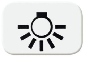 Busch-Jaeger Tastersymbol 2520- Licht Reflex SI alpinweiss 2525LI-214 – Bild 1