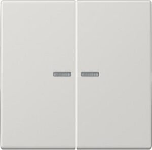 Jung KNX RF Taster 2fach KNX RF Taster 2fach LS10921STRFLG – Bild 1