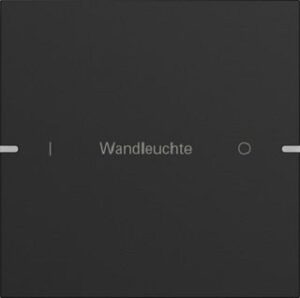 Gira Wippenset 1fach individuell für Tastsensor4 TS4 Schwarz matt lackiert 5031905 – Bild 1