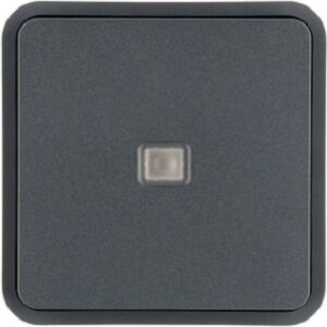 Berker Wippe 1-fach, grau 30863545 – Bild 1