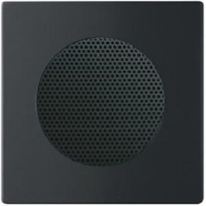 Busch-Jaeger Zentralscheibe für Lautsprecher-Einsatz 8223 U sw 8253-885 – Bild 1