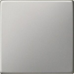 Gira Wippe Tastschalter System 55 Edelst ahl 0916600 – Bild 1