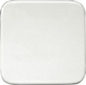 Eltako Wippe für Funktaster 55x55mm für Reflex/Duro W-FT55R-@ – Bild 1