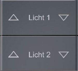 Eltako Doppelwippe für Funk-Fernbedienung DW-FF8-ANTHRAZITSOFTLACKIERT-@ – Bild 1