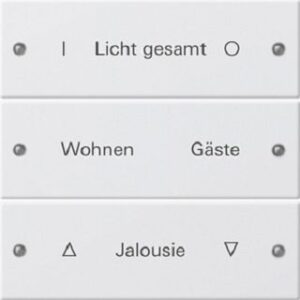 Gira Wippenset 3-fach beschriftbar System 55 reinweiss 220303 – Bild 1