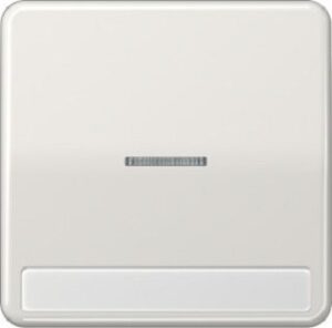 Jung Wippe für Kontrollsch. lichtgrau mit Schriftfeld 7x57mm CD590NAKO5LG – Bild 1