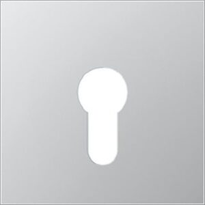 Jung Abdeckung Schlüsselschalter Aluminium AL2925 – Bild 1