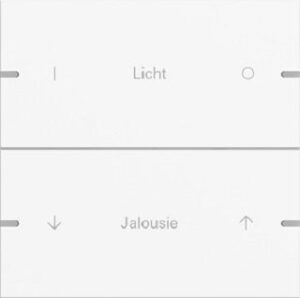 Gira Wippenset 2fach individuell für Tastsensor4 TS4 Reinweiß matt lackiert 5032927 – Bild 1