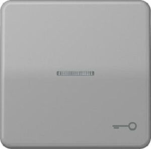 Jung Wippe Symbol Tür für beleuchteten Taster grau CD590KO5TGR – Bild 1
