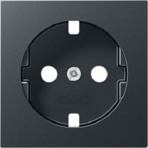 Jung Platte SCHUKO Steckdose anthrazit A1520BFPLANM – Bild 1