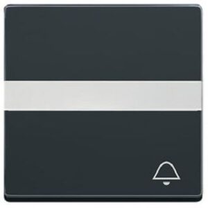 Busch-Jaeger Wippe Symbol Klingel mit Beschriftung future linear anthrazit 1764NLI/KI-81 – Bild 1