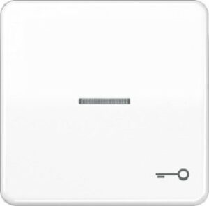 Jung Wippe Symbol Tür für beleuchteten Taster alpinweiss CD590KO5TWW – Bild 1