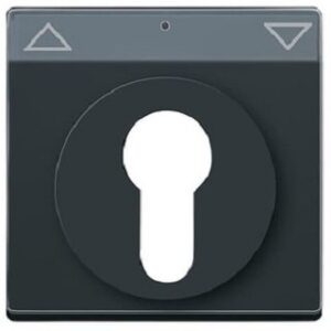 Busch-Jaeger Zentrals.Schl.Sch. anthrazit 1755SL/PZ-81-101 – Bild 1