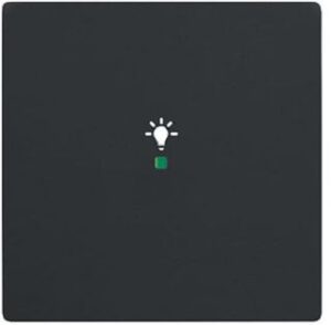 Busch-Jaeger Wippe 1-fach Licht für Busch free@home schwarz matt 6231-10-885 – Bild 1